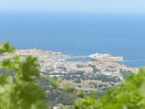 Le FIGUIER MAISON DE CHARME VUE MER WIFI